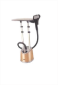 اتو بخارگر ایستاده 2 پایه راف مدل R-3048R